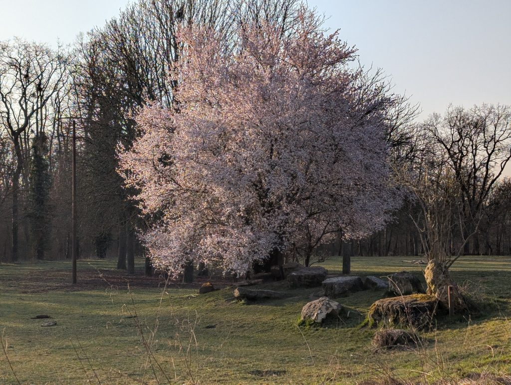 Hortithérapie & Écothérapie Cergy